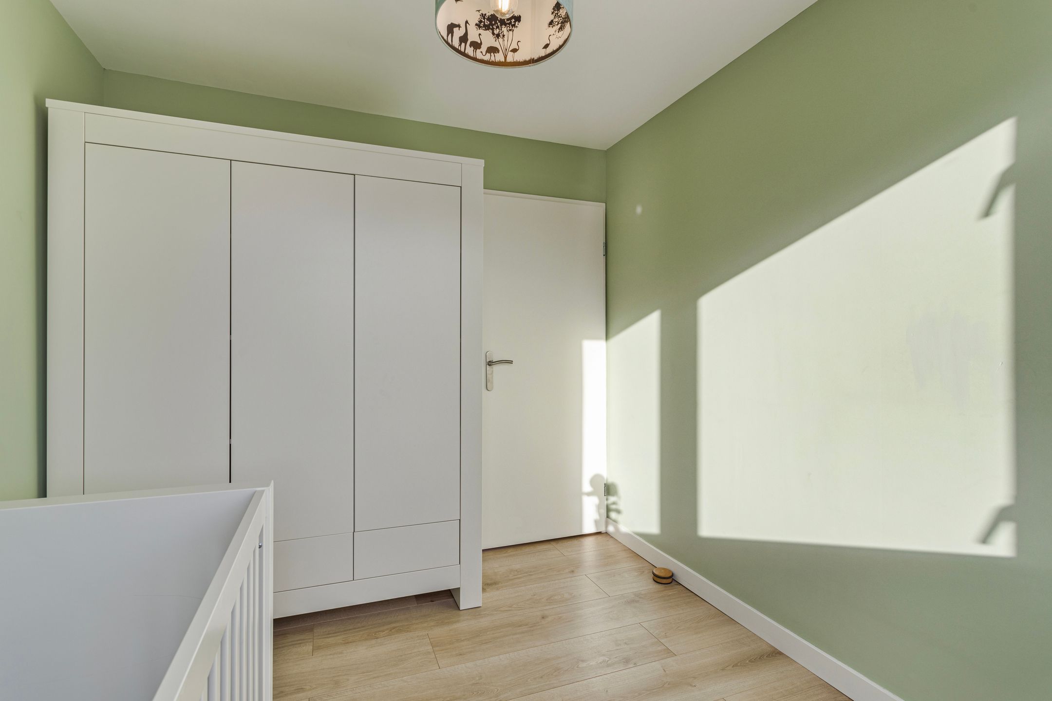 Photo 33 of Gouden Regen 6