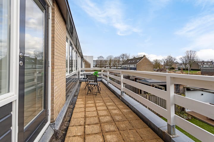 Foto 46 van Gouden Regen 6