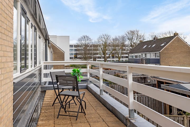 Foto 48 van Gouden Regen 6