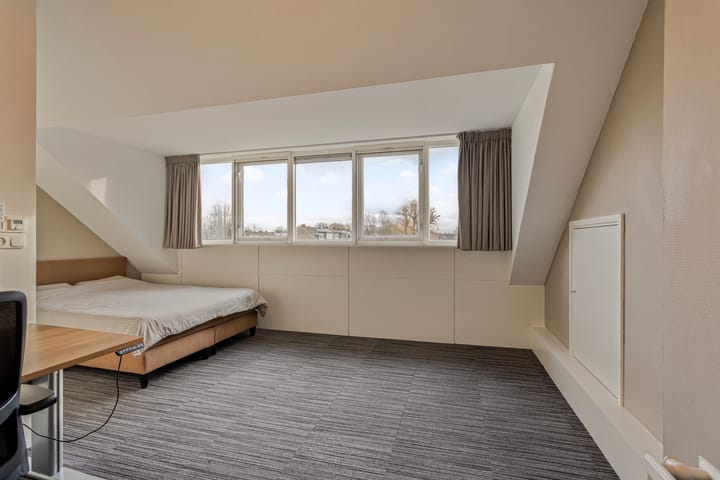 Foto 54 van Gouden Regen 6