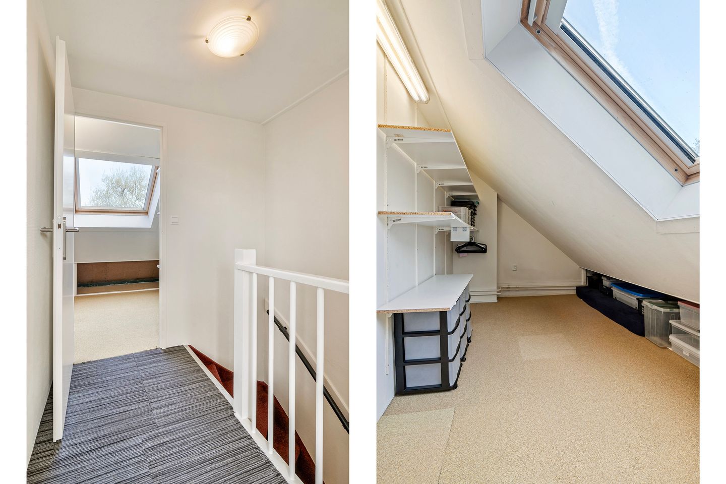 Photo 55 of Gouden Regen 6