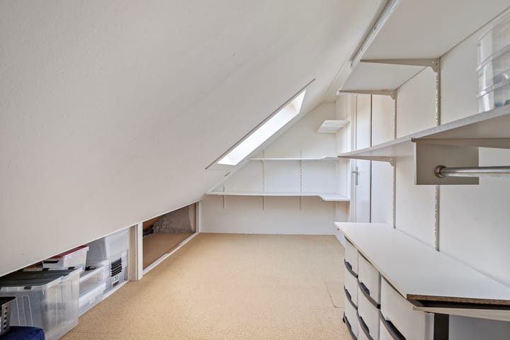 Foto 56 van Gouden Regen 6