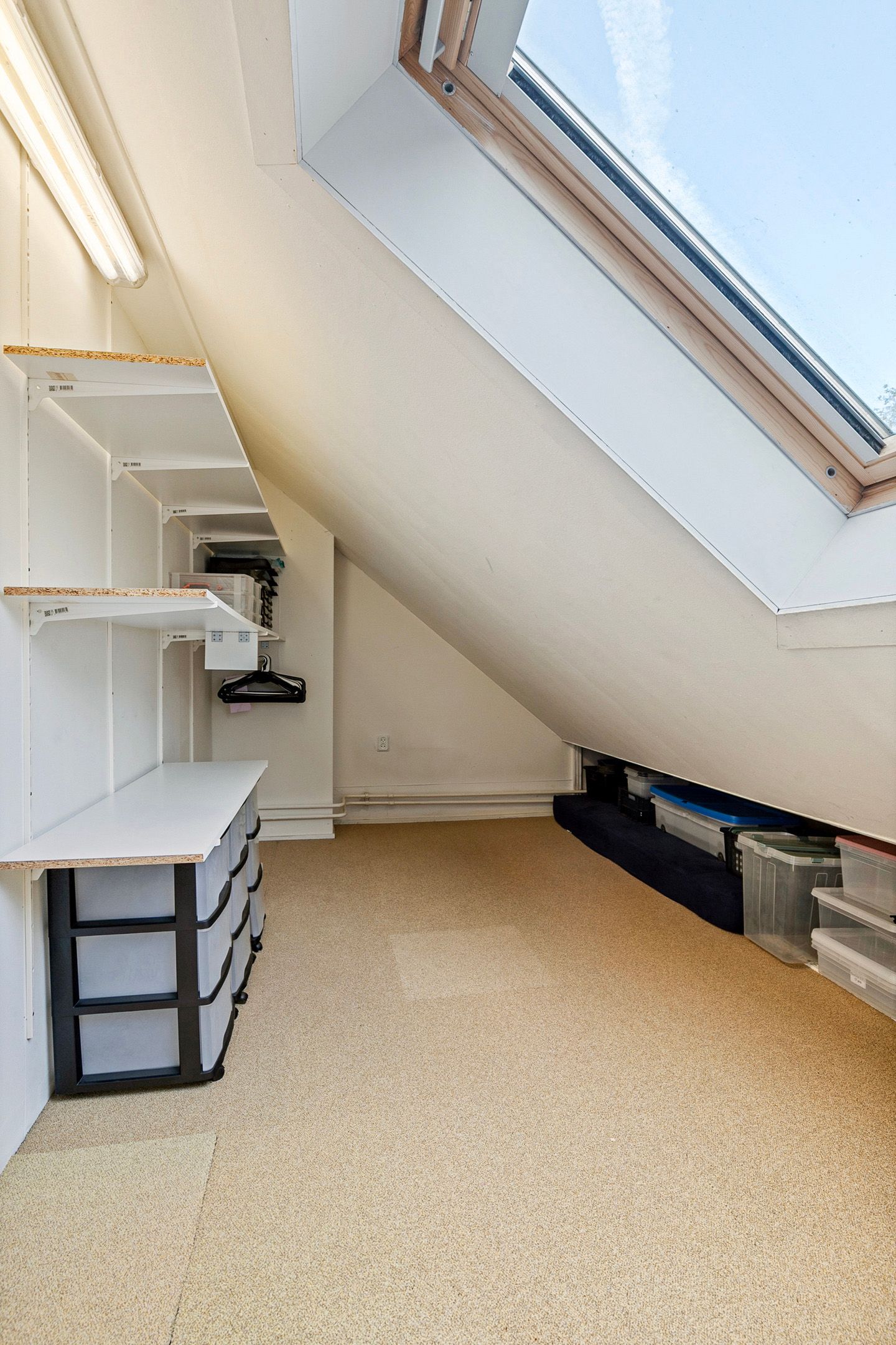 Photo 57 of Gouden Regen 6