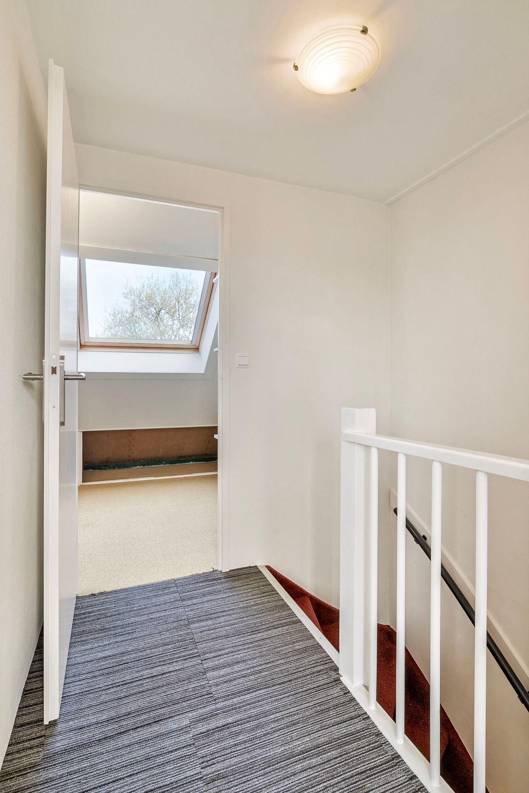 Photo 58 of Gouden Regen 6