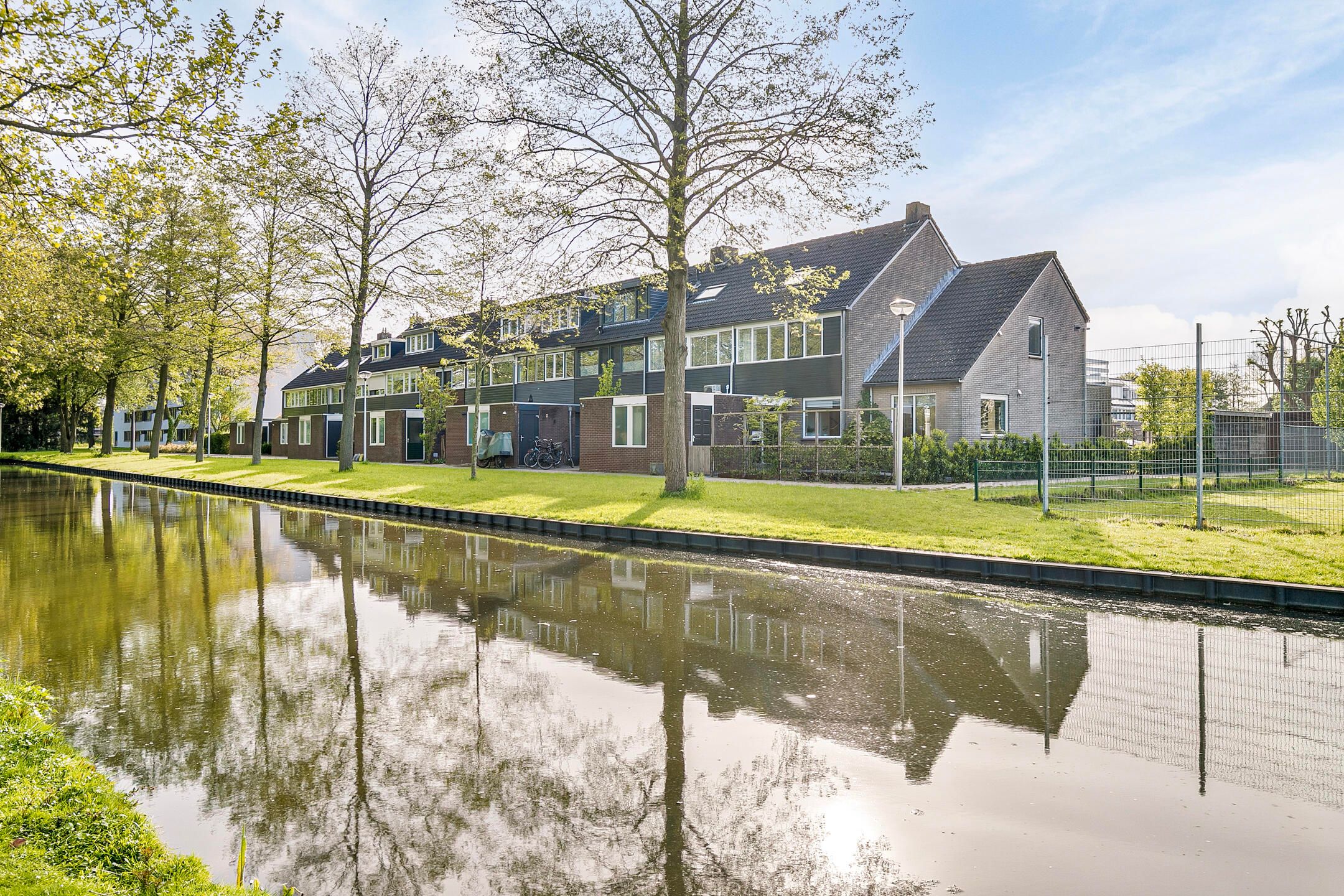 Photo 63 of Gouden Regen 6