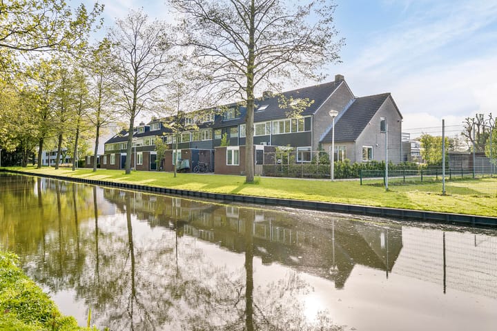 Foto 63 van Gouden Regen 6