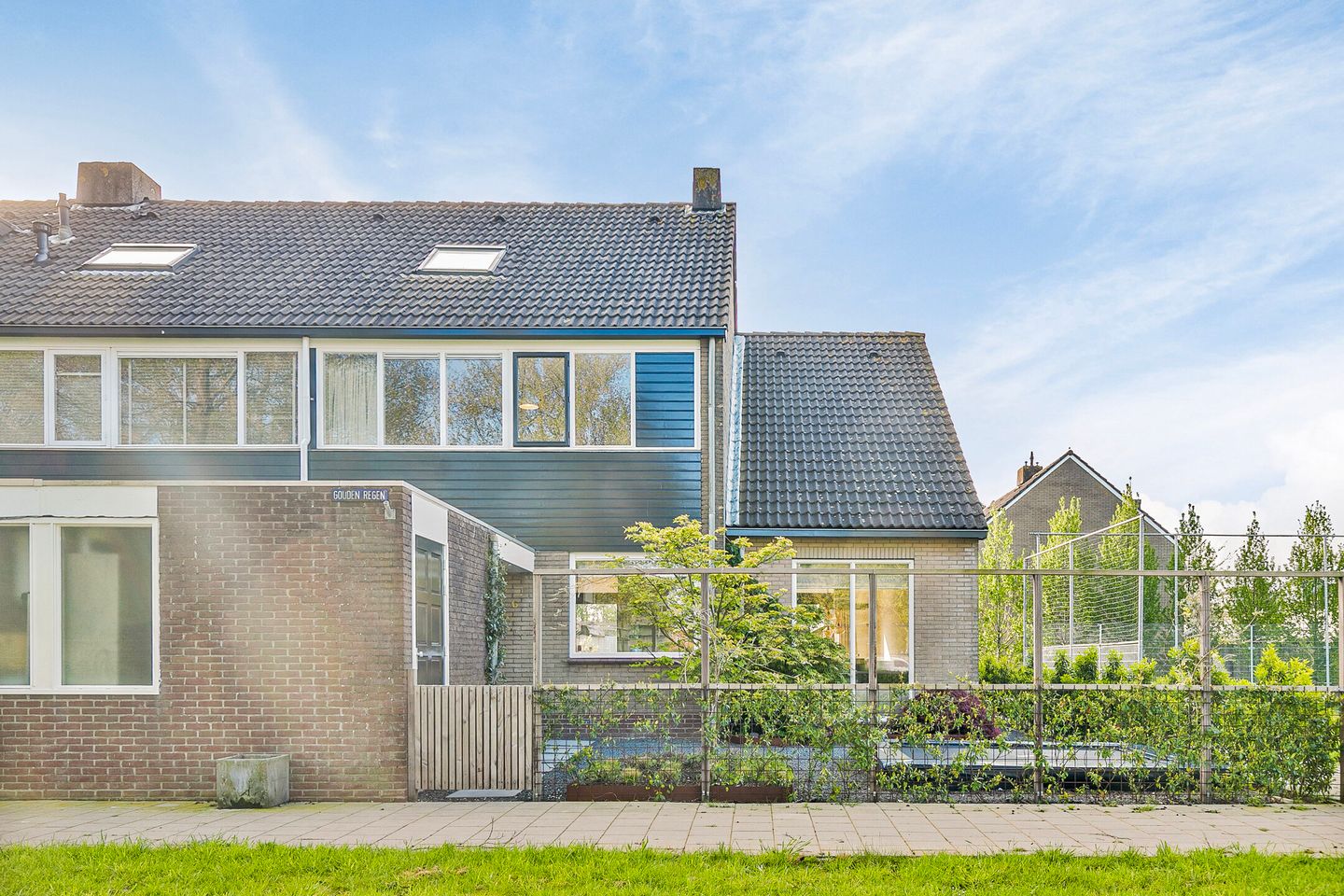 Photo 64 of Gouden Regen 6