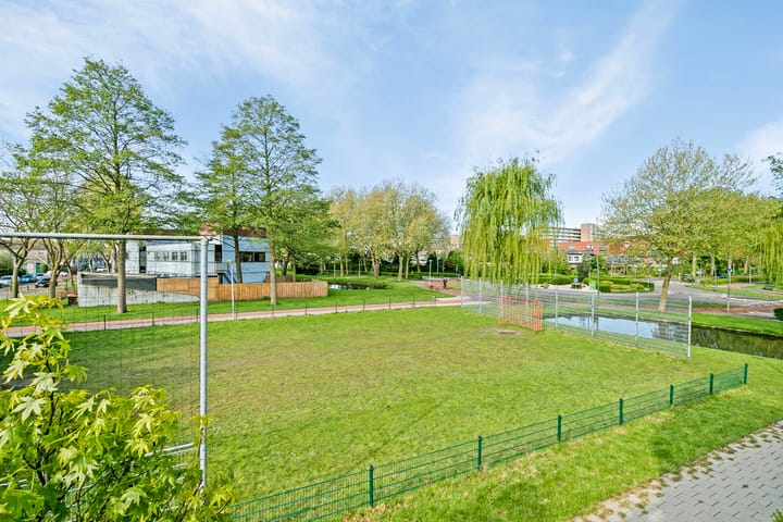 Foto 66 van Gouden Regen 6