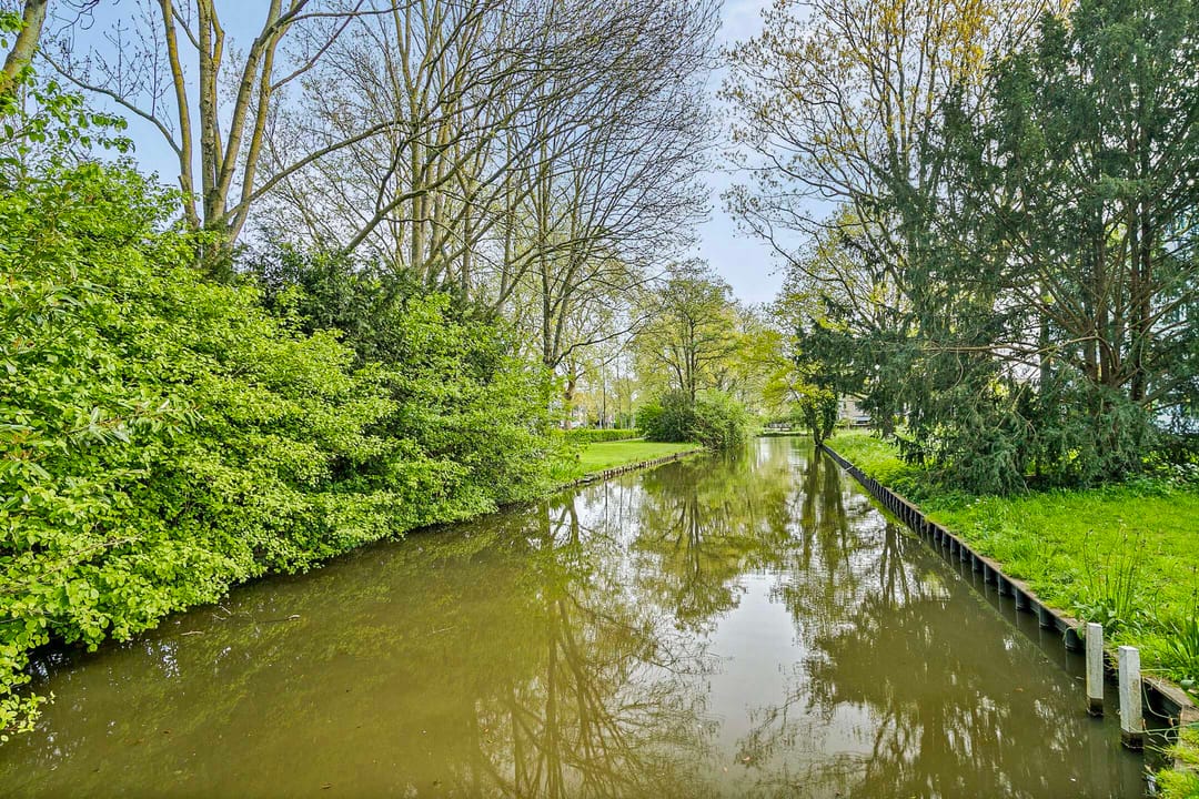 Photo 67 of Gouden Regen 6