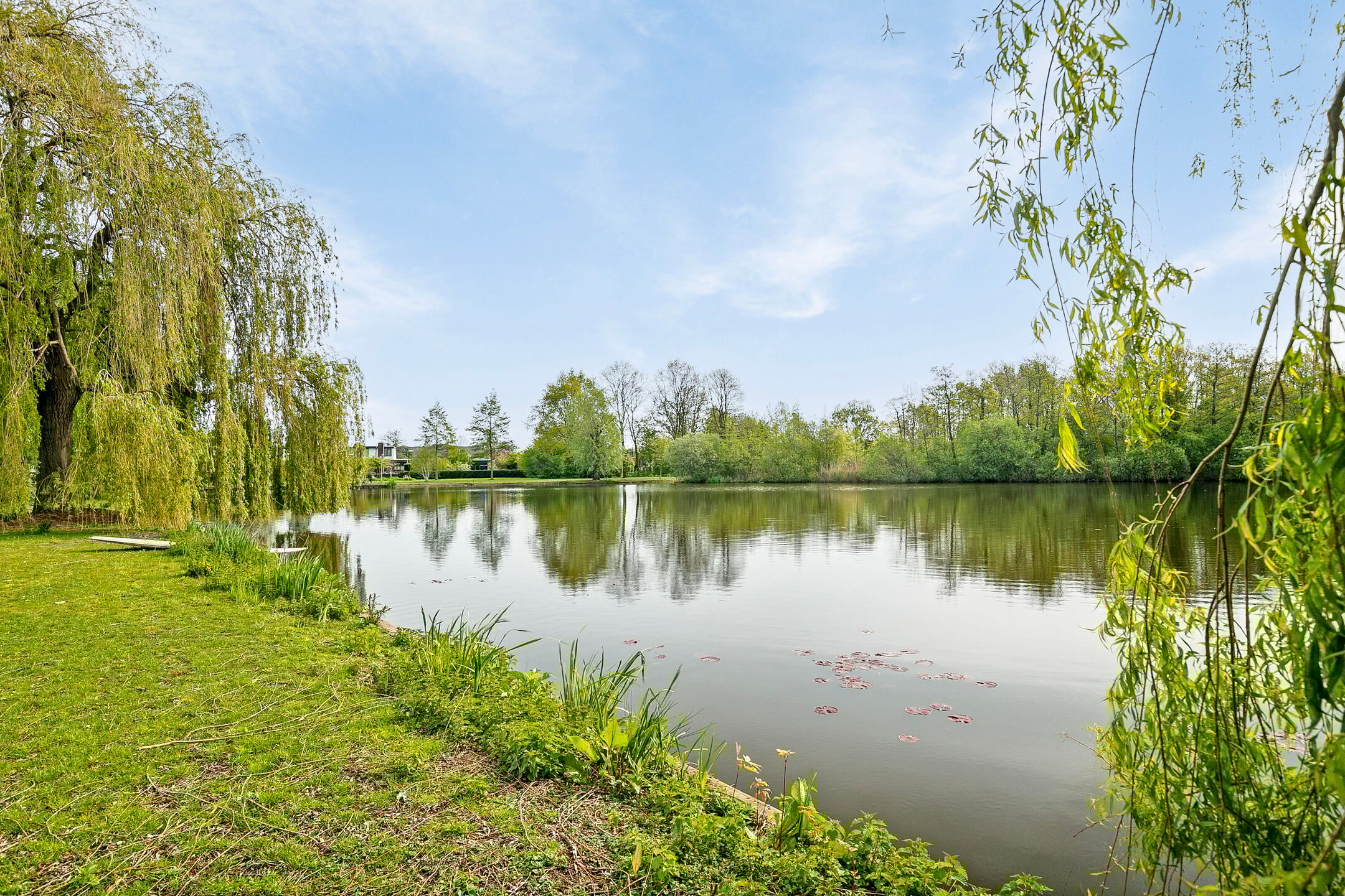 Photo 69 of Gouden Regen 6