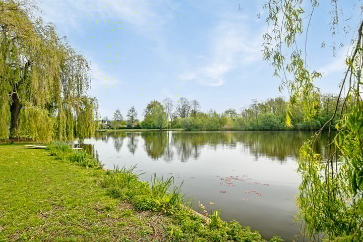 Foto 69 van Gouden Regen 6