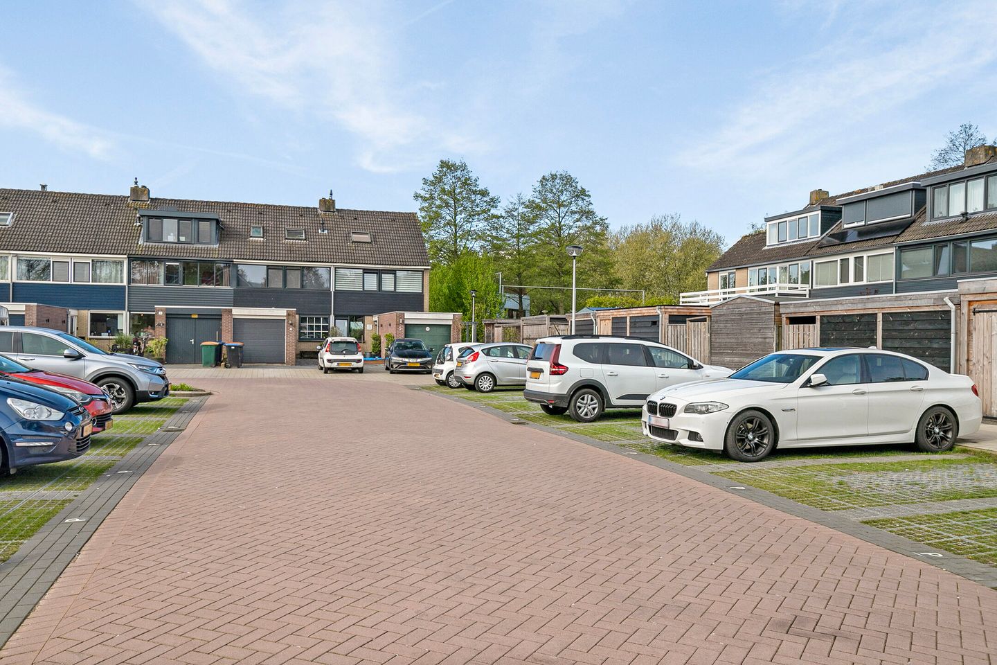 Photo 70 of Gouden Regen 6