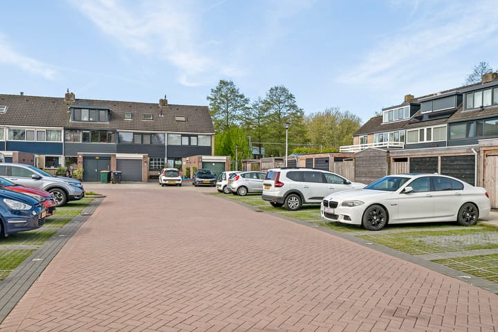 Foto 70 van Gouden Regen 6