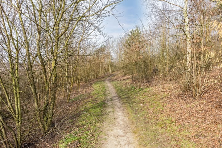 Photo 40 of Waterlinie 276