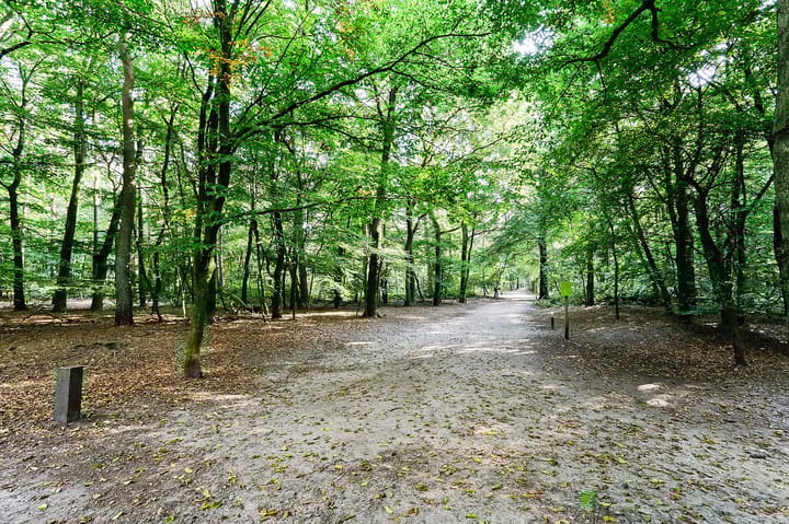 Foto 33 van Eikstraat 35