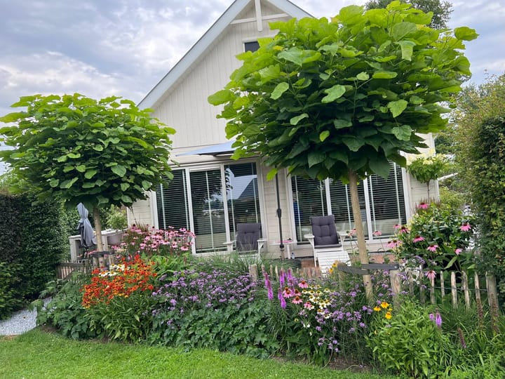 Foto 38 van Achterzeedijk 1-A45