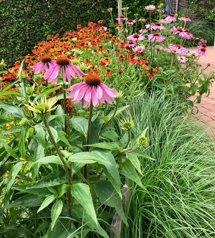 Foto 42 van Achterzeedijk 1-A45