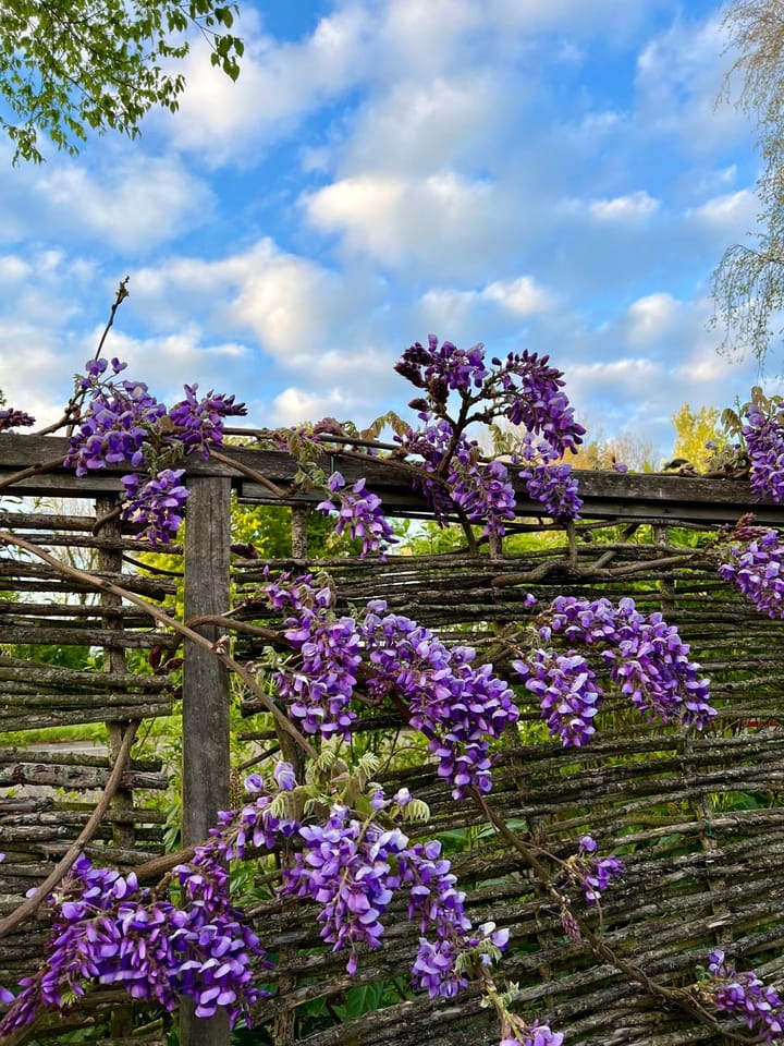 Foto 43 van Achterzeedijk 1-A45