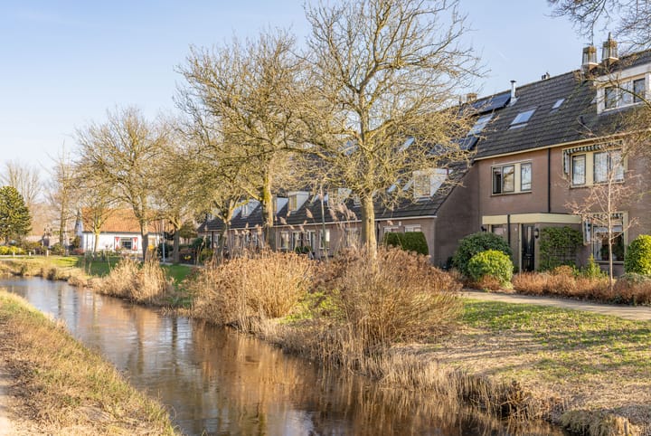 Foto 17 van Kikkerbeet 17