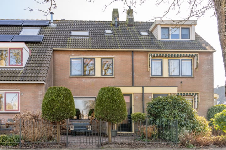 Foto 20 van Kikkerbeet 17