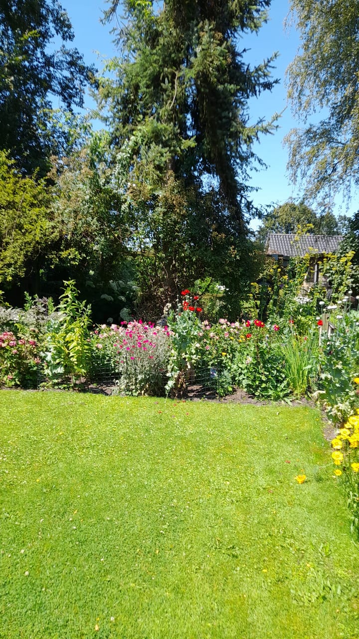 Foto 32 van Kerkstraat 24