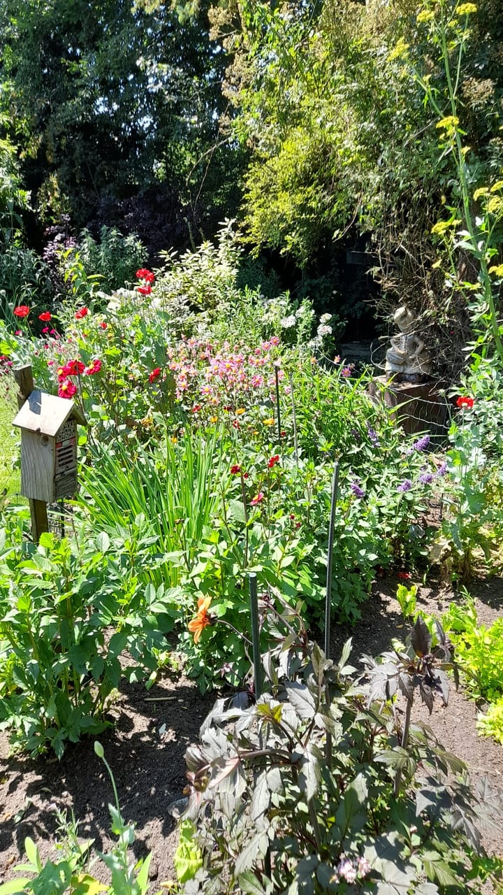 Foto 33 van Kerkstraat 24