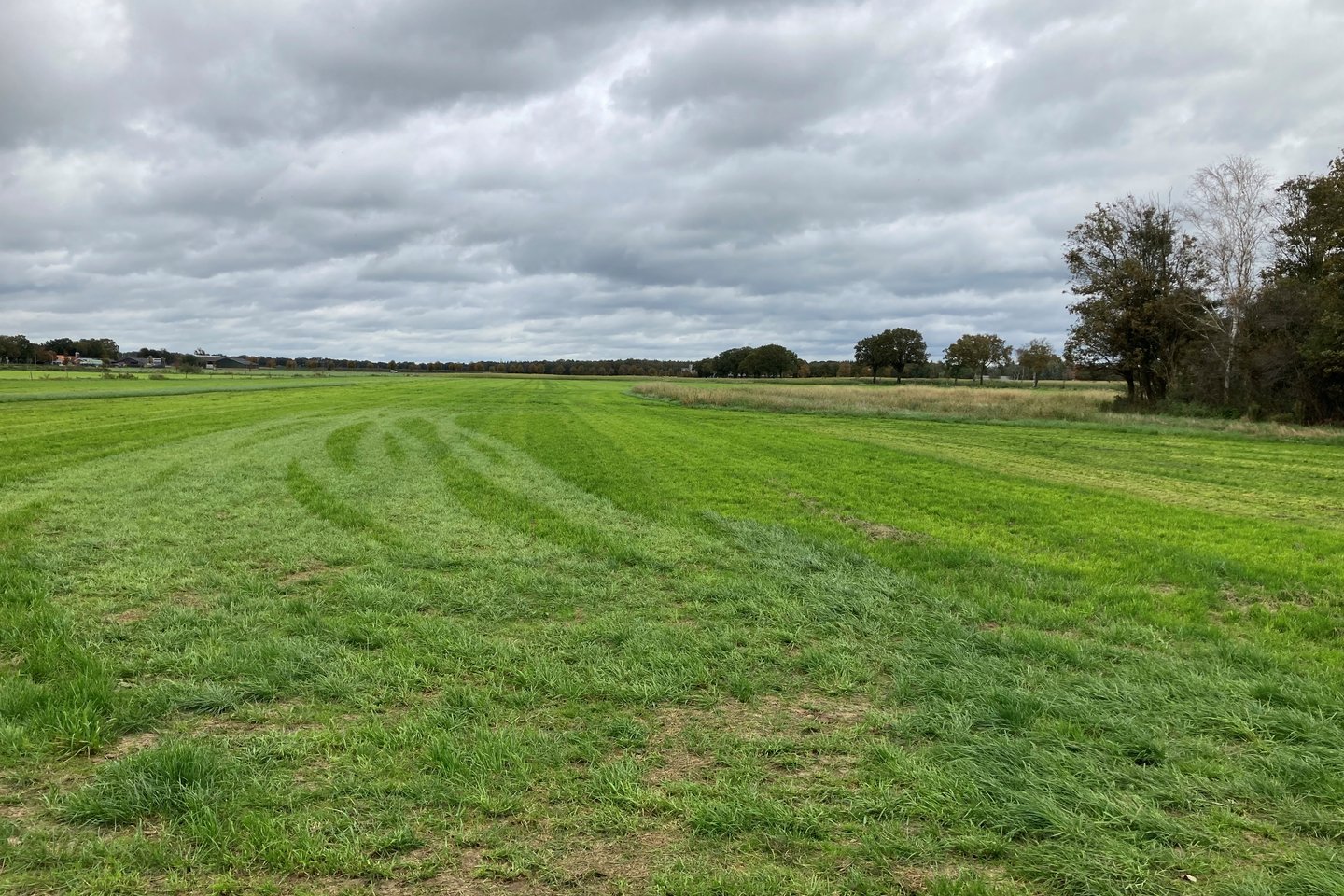 Bekijk foto 3 van Van de Veldenweg