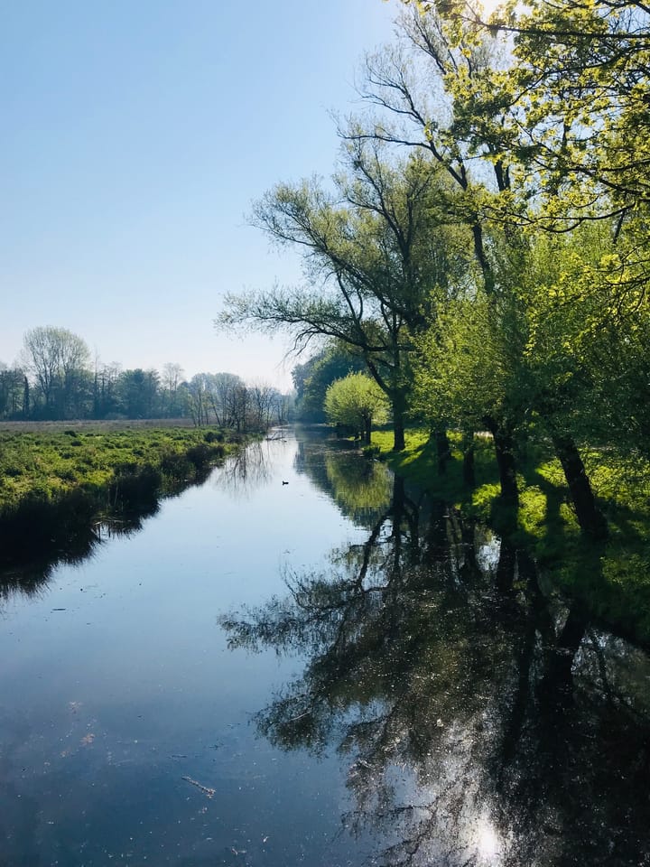 Foto 56 van Zestienhovensekade 463