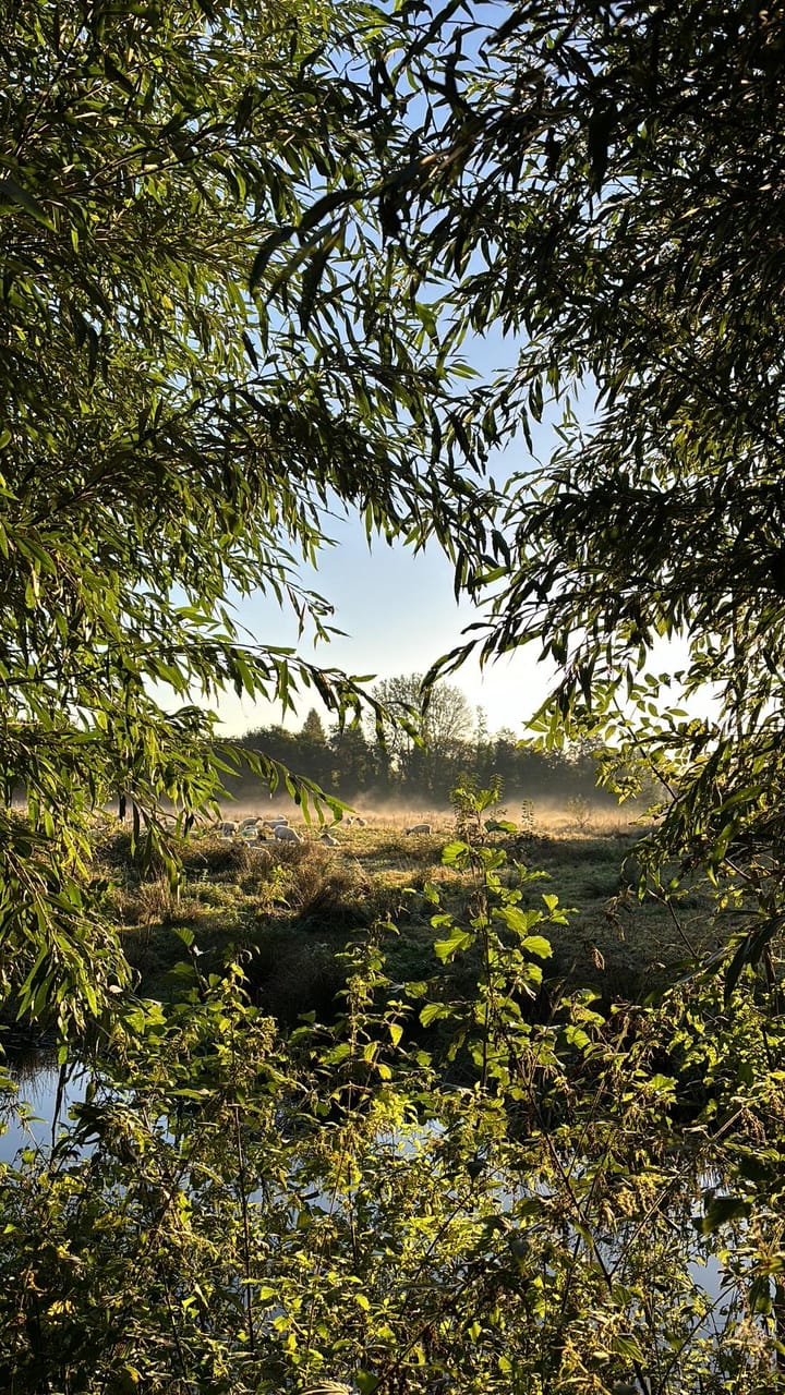 Foto 58 van Zestienhovensekade 463