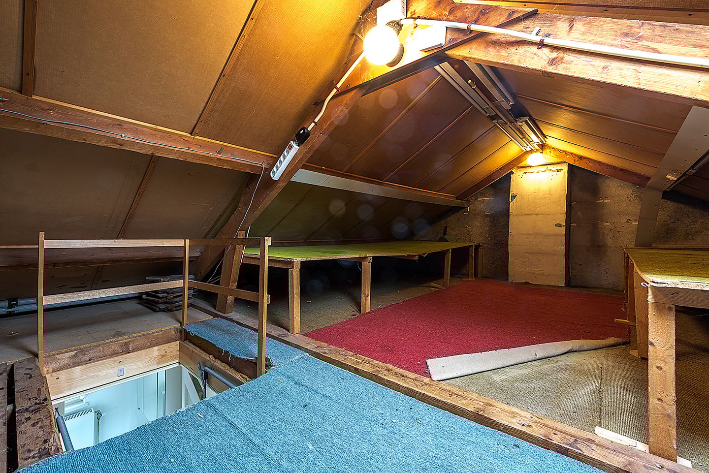 Foto 20 van Paulus Potterstraat 31