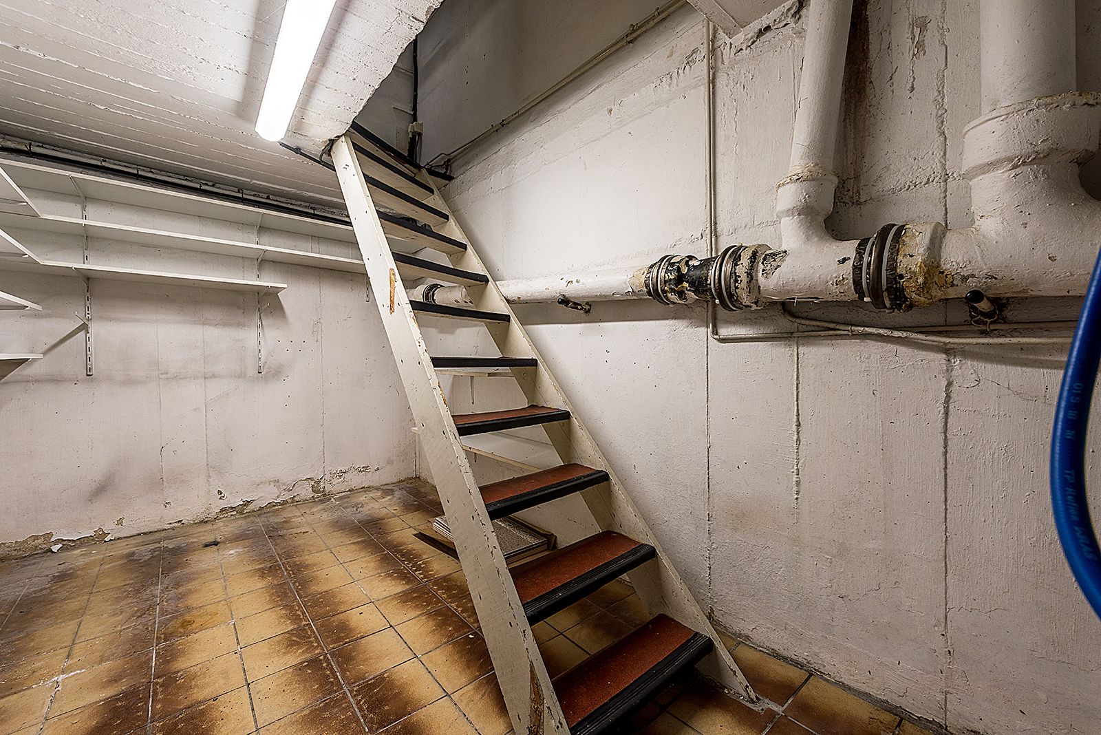 Foto 21 van Paulus Potterstraat 31