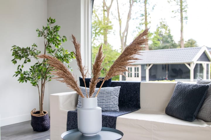 Photo 18 of Molenweg 35