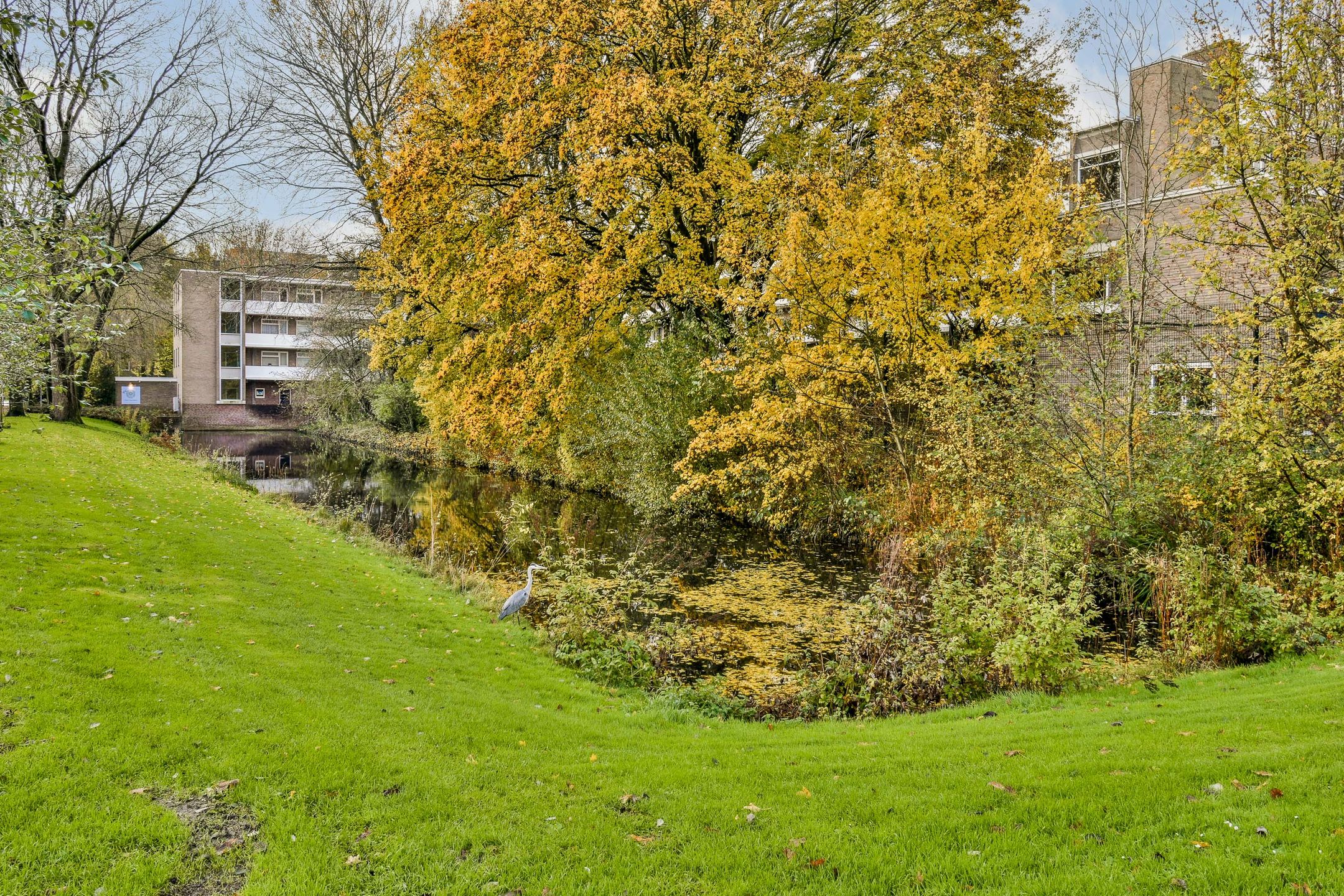 Foto 21 van Populierenlaan 279