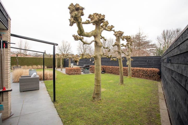 Foto 63 van Twijnspil 71