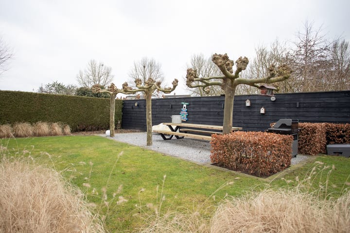 Foto 80 van Twijnspil 71