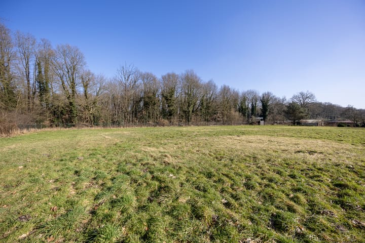 Foto 48 van Schaak 1