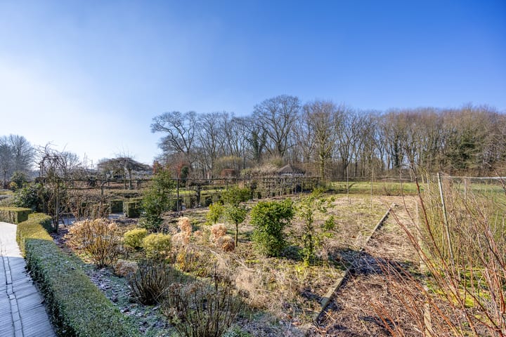 Foto 49 van Schaak 1