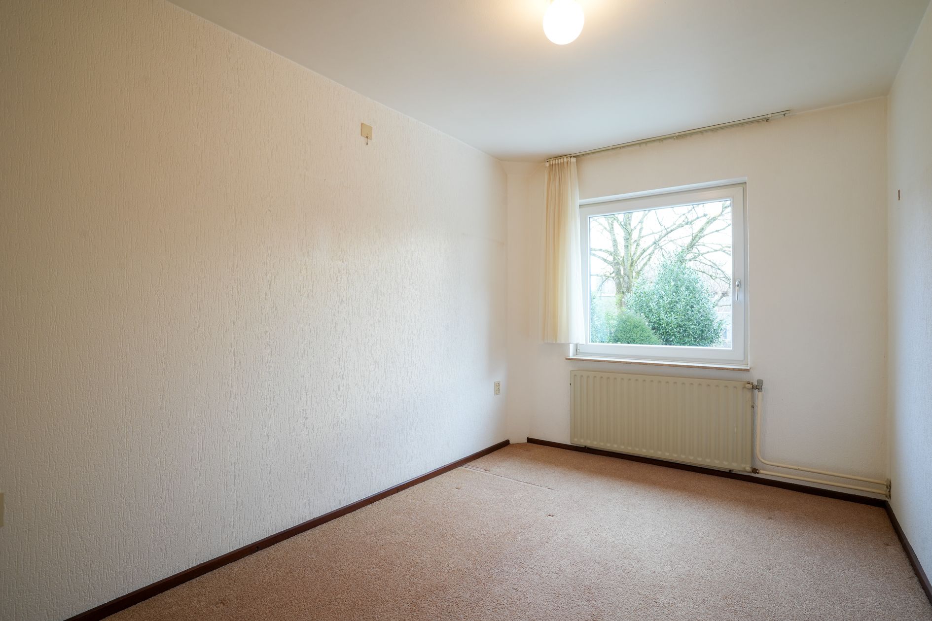 Foto 15 van Wilderbeek 10