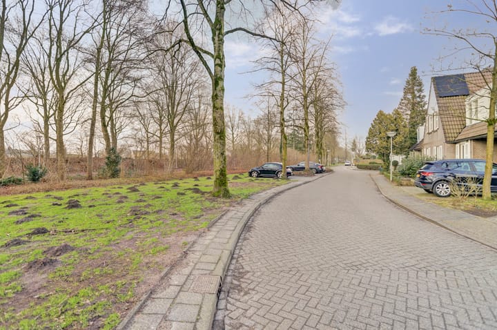 Photo 33 of Klaproos 18