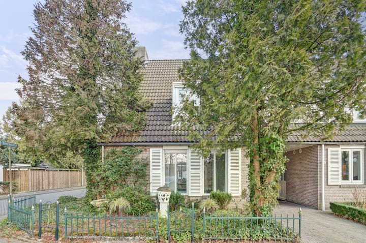 Photo 35 of Klaproos 18