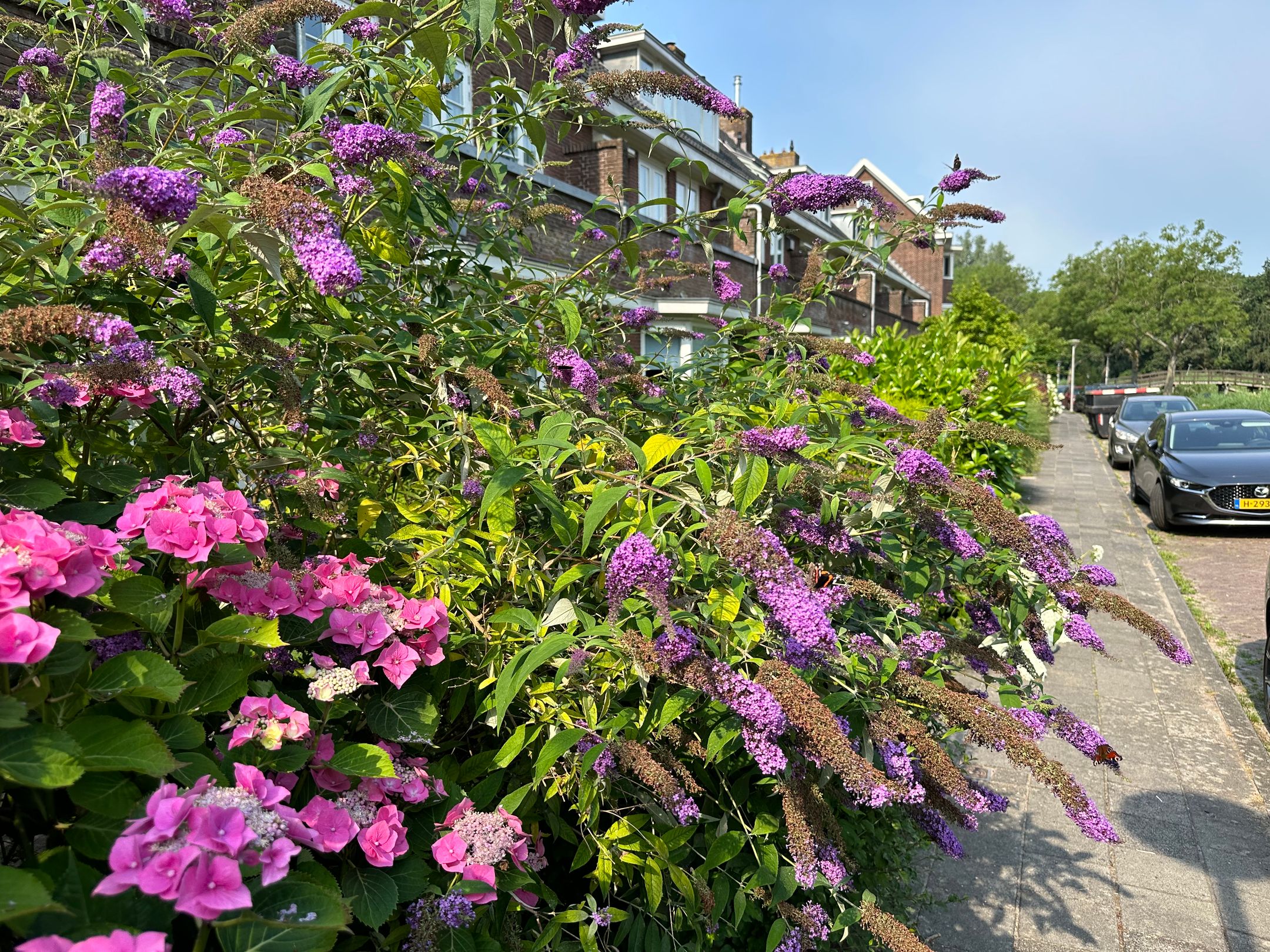 Foto 30 van Emmakade 13