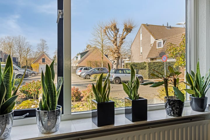 Foto 8 van Willem Dreeslaan 62