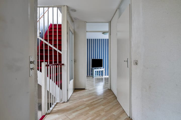 Foto 12 van Wildeman 67