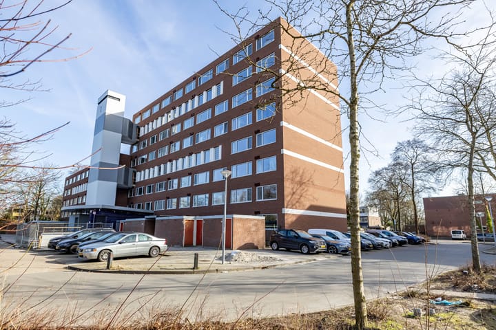 Foto 40 van Meerpaal 40