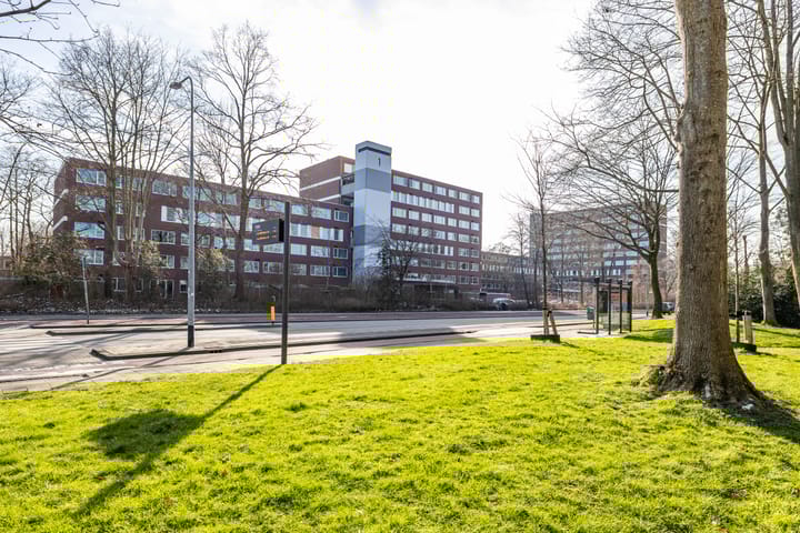 Foto 42 van Meerpaal 40