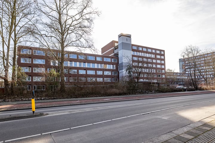 Foto 43 van Meerpaal 40