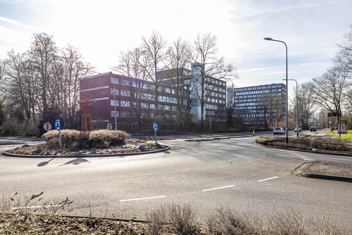 Foto 44 van Meerpaal 40