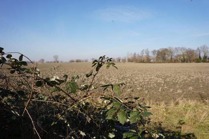 Foto 30 van Sluissedijk 17