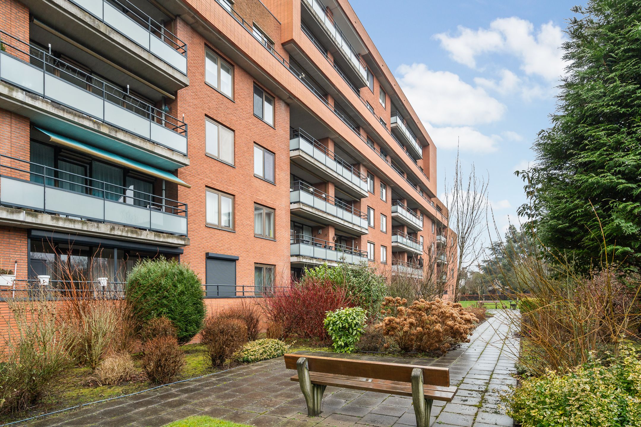 Foto 6 van Zanglijsterstraat 131