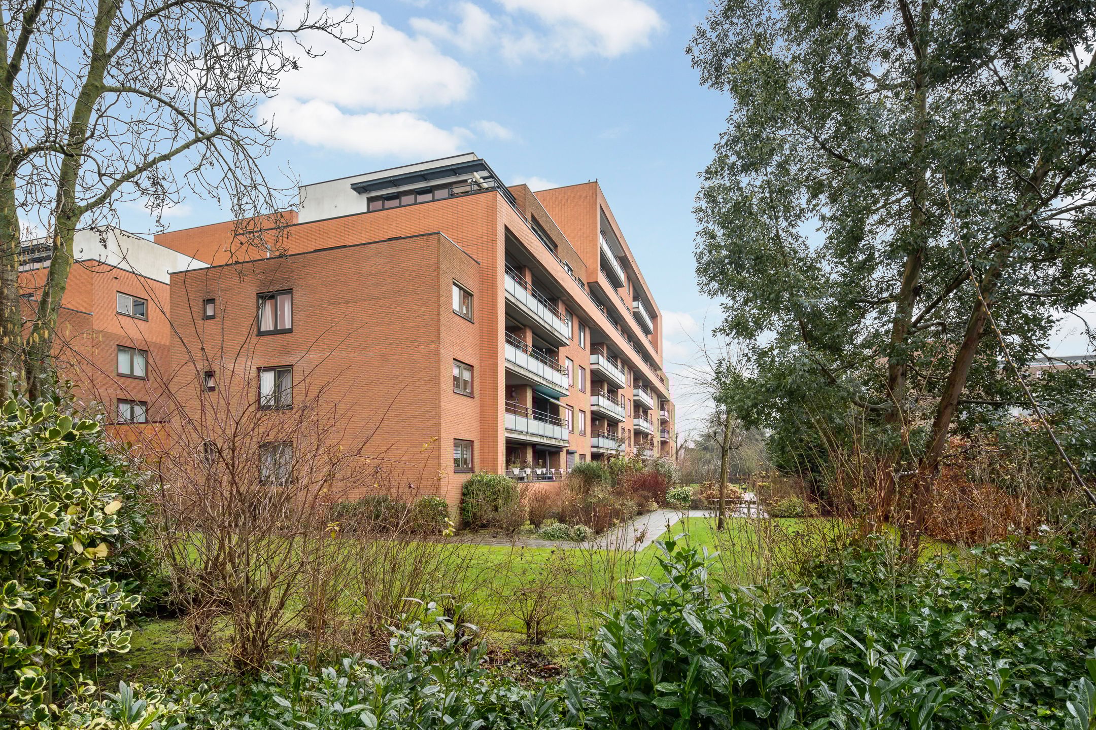 Foto 33 van Zanglijsterstraat 131